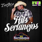 Hits Sertanejos #01 – TeeJota