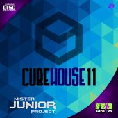 Cube House #11