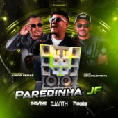 Paredinha JF (Novo Repartimento-PA)