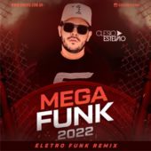Mega Funk 2022